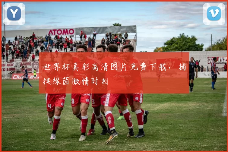 世界杯真彩高清图片免费下载,捕捉绿茵激情时刻