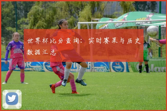 世界杯比分查询:实时赛果与历史数据汇总