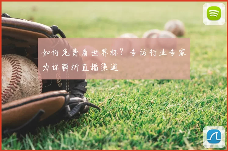 如何免费看世界杯？专访行业专家为你解析直播渠道