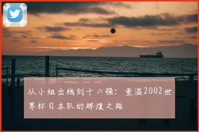从小组出线到十六强:重温2002世界杯日本队的辉煌之路