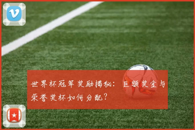 世界杯冠军奖励揭秘：巨额奖金与荣誉奖杯如何分配？