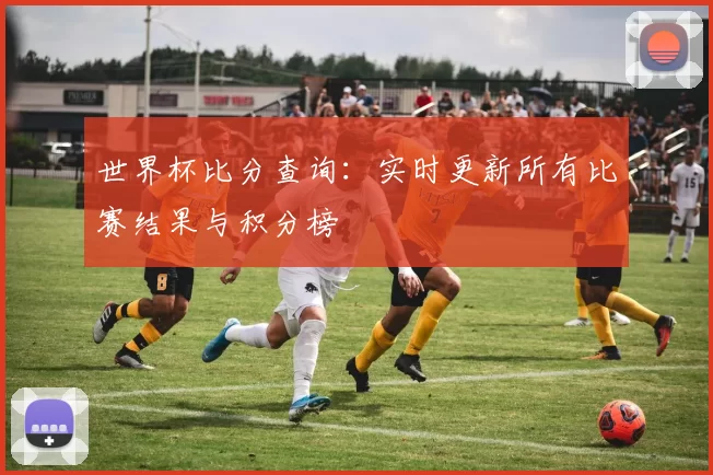 世界杯比分查询:实时更新所有比赛结果与积分榜