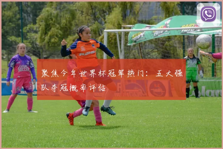 聚焦今年世界杯冠军热门:五大强队夺冠概率评估