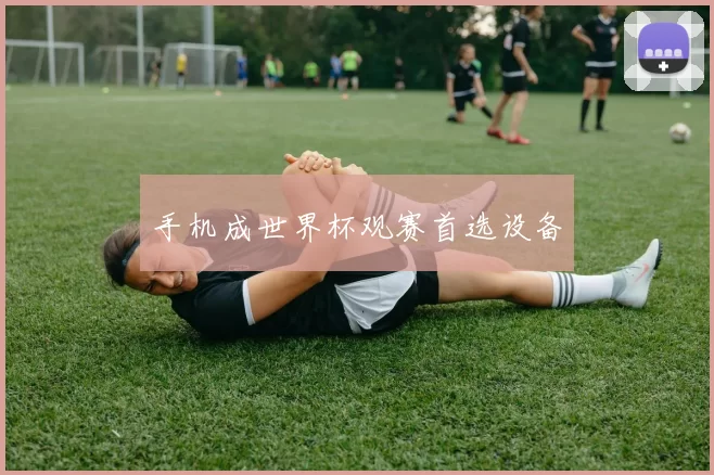 手机成世界杯观赛首选设备