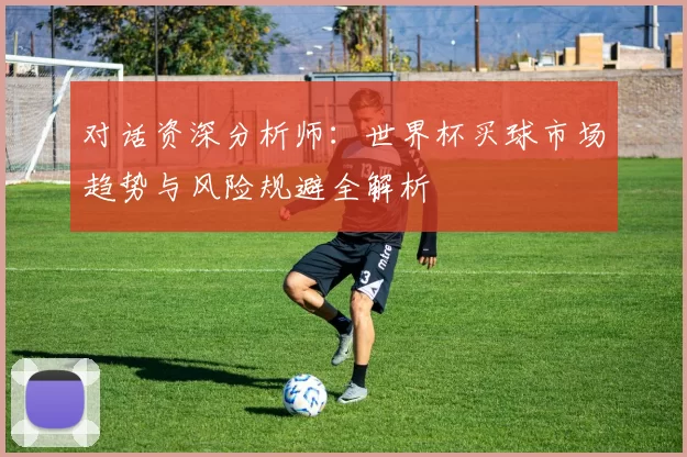 对话资深分析师:世界杯买球市场趋势与风险规避全解析