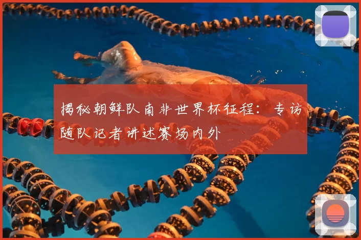揭秘朝鲜队南非世界杯征程：专访随队记者讲述赛场内外