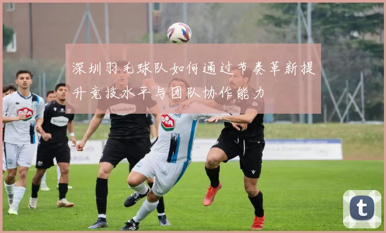 深圳羽毛球队如何通过节奏革新提升竞技水平与团队协作能力