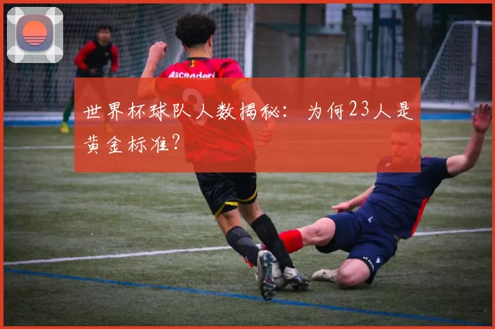 世界杯球队人数揭秘:为何23人是黄金标准?