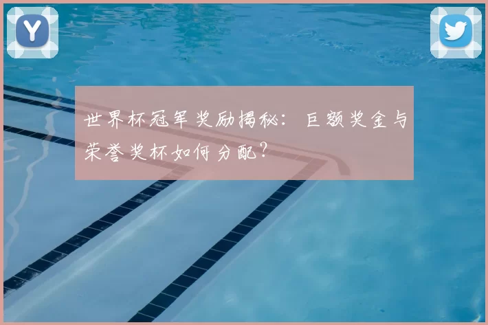 世界杯冠军奖励揭秘：巨额奖金与荣誉奖杯如何分配？