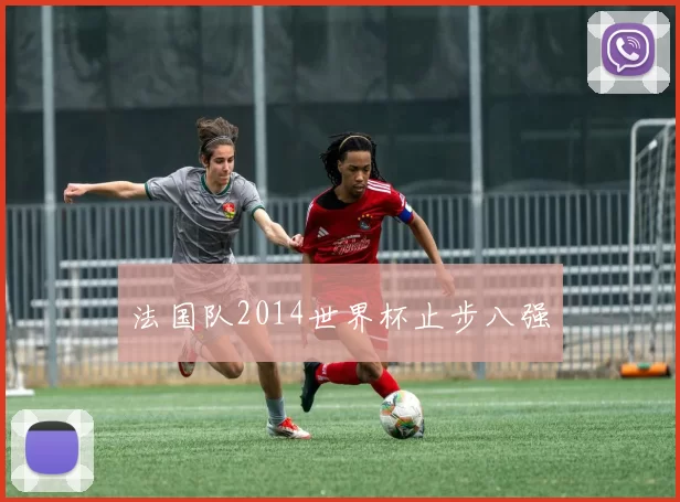 法国队2014世界杯止步八强
