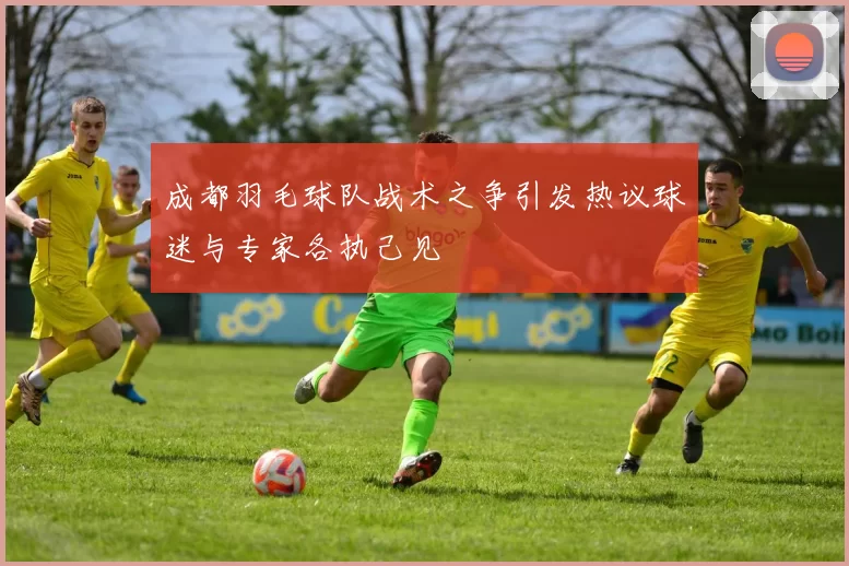 成都羽毛球队战术之争引发热议球迷与专家各执己见