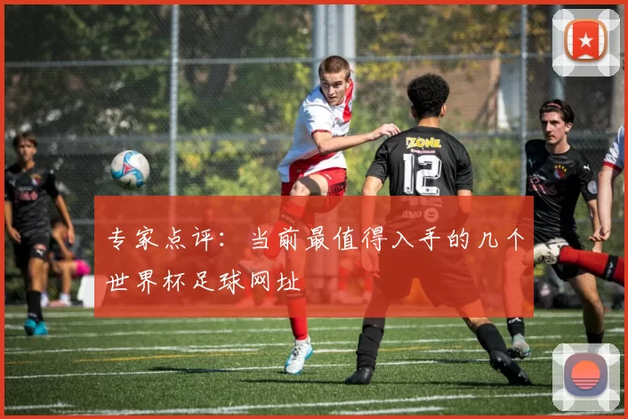 专家点评:当前最值得入手的几个世界杯足球网址