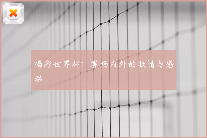 喝彩世界杯:赛场内外的激情与感动