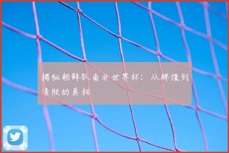揭秘朝鲜队南非世界杯：从辉煌到溃败的真相