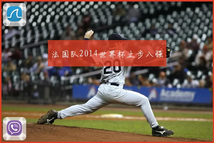法国队2014世界杯止步八强