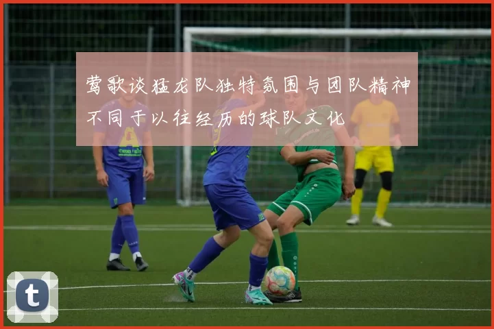 莺歌谈猛龙队独特氛围与团队精神不同于以往经历的球队文化