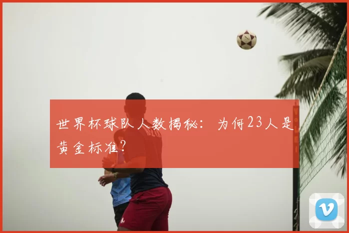 世界杯球队人数揭秘：为何23人是黄金标准？