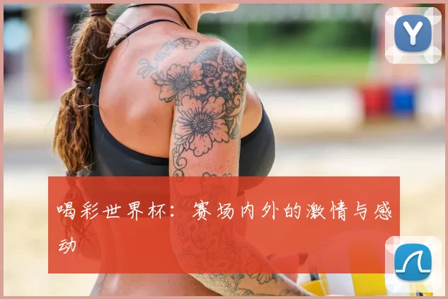 喝彩世界杯：赛场内外的激情与感动